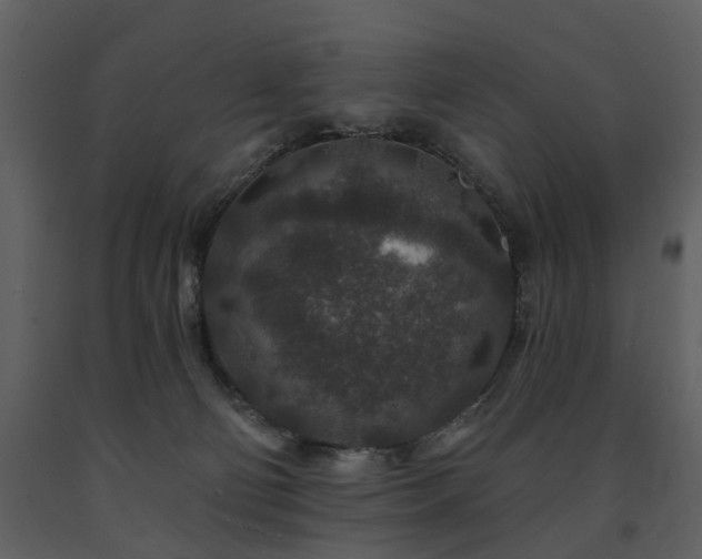 X0000091700130200708241232