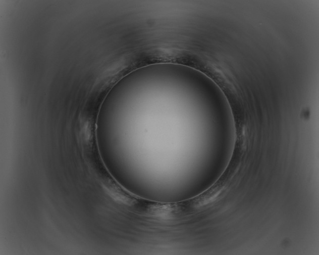 X0000091700131200708241232