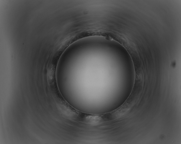 X0000091700133200708241231