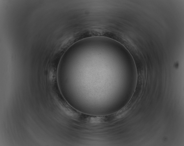 X0000091700134200708241231