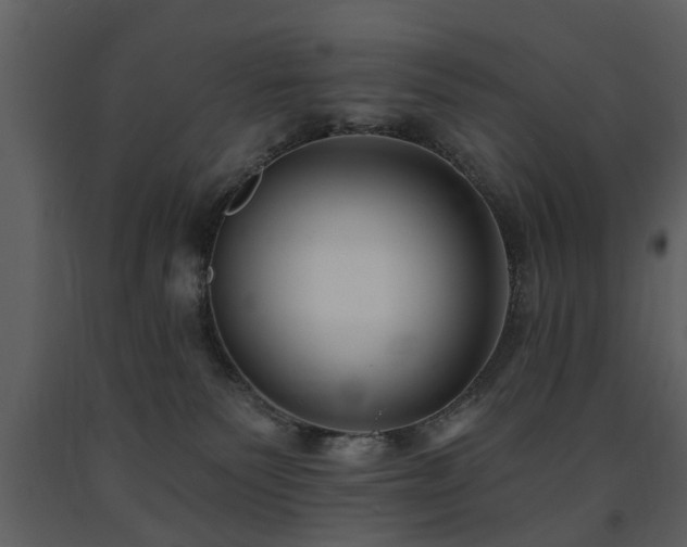 X0000091700135200708241231