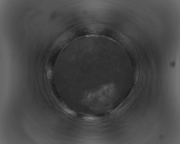 X0000091700137200708241231