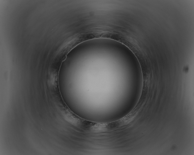 X0000091700138200708241231
