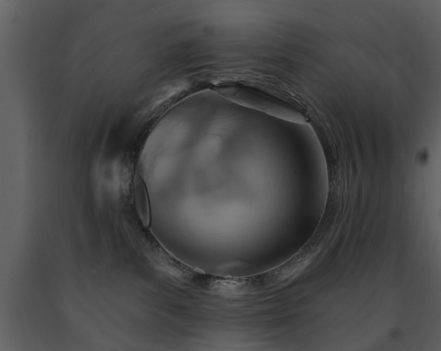 X0000091700139200708241231