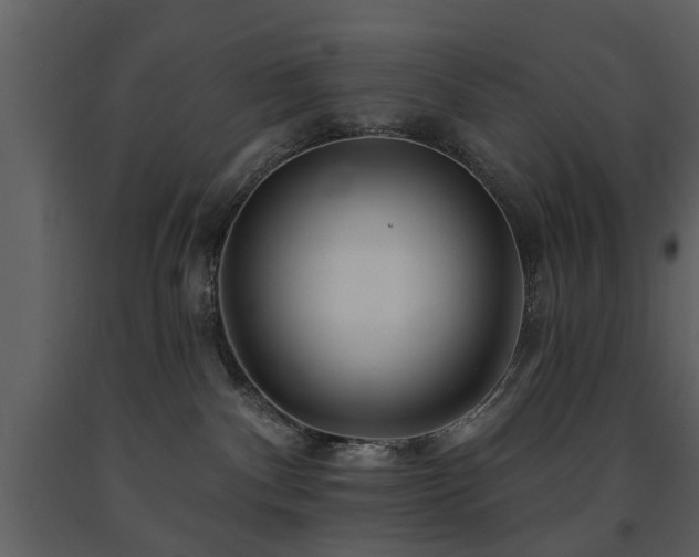 X0000091700140200708241231