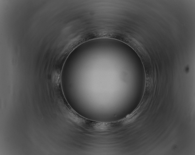 X0000091700142200708241231