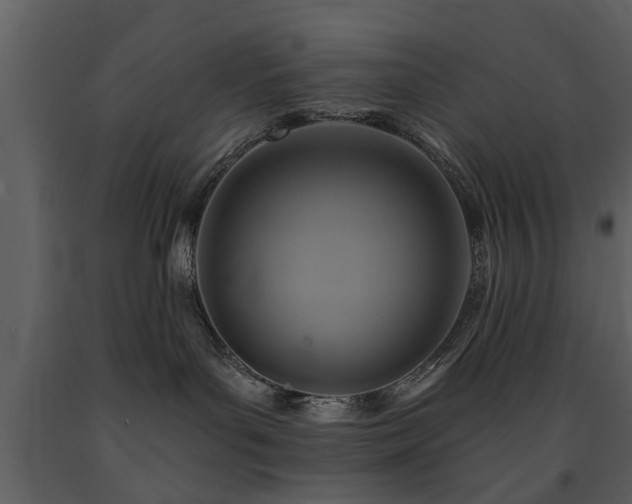 X0000091700143200708241231