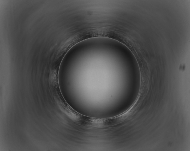 X0000091700144200708241231