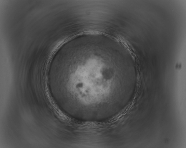 X0000091700145200708241230