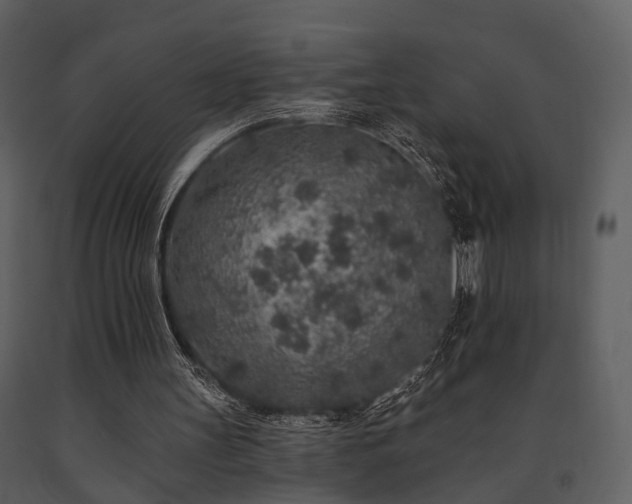 X0000091700147200708241230