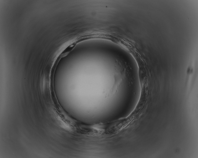 X0000091700148200708241230