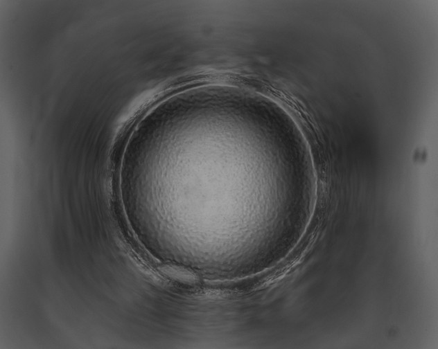 X0000091700149200708241231