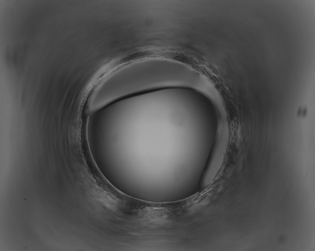 X0000091700150200708241231