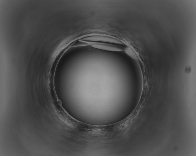 X0000091700151200708241231