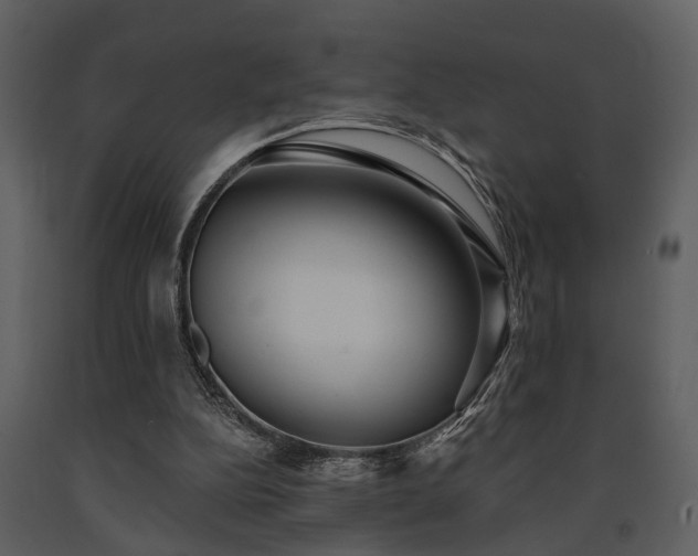 X0000091700152200708241231