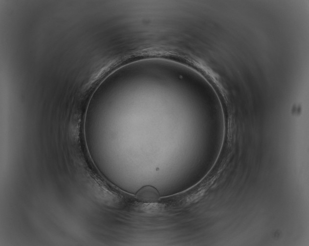 X0000091700153200708241231