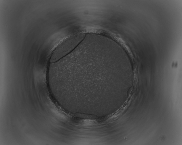 X0000091700154200708241231