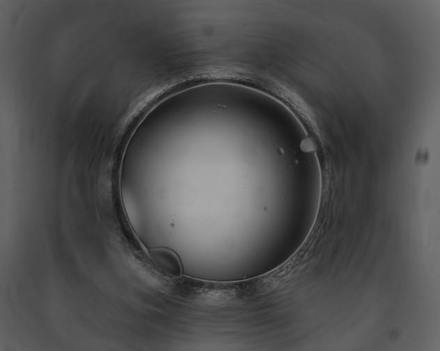 X0000091700155200708241231