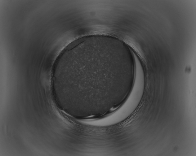 X0000091700156200708241231