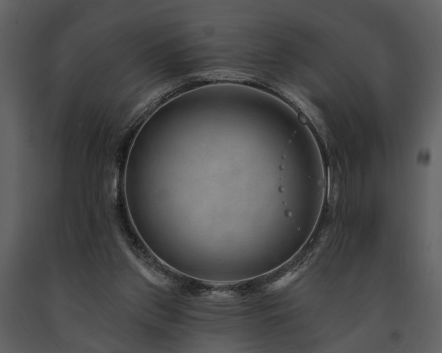 X0000091700157200708241231