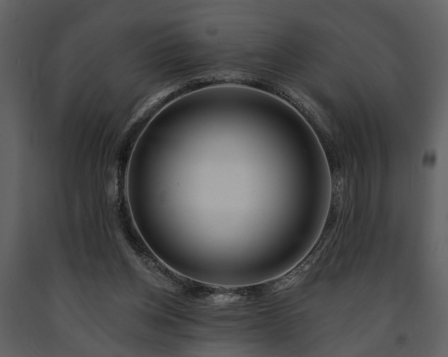 X0000091700158200708241231