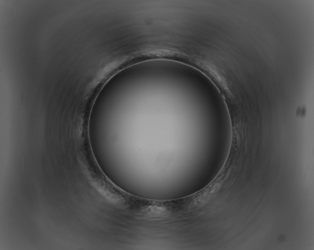 X0000091700159200708241231
