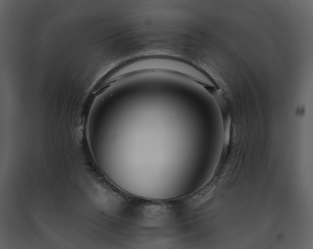 X0000091700160200708241231