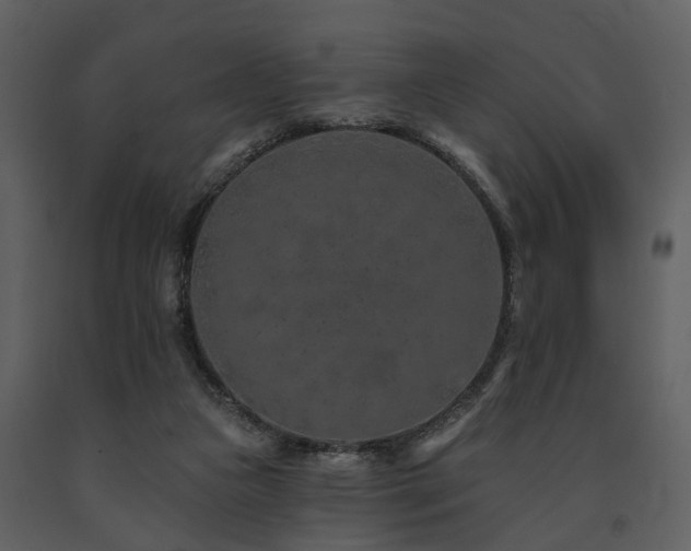 X0000091700161200708241231