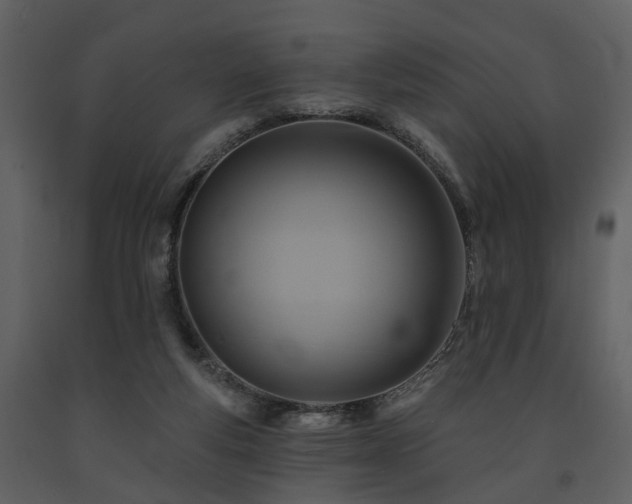 X0000091700163200708241231