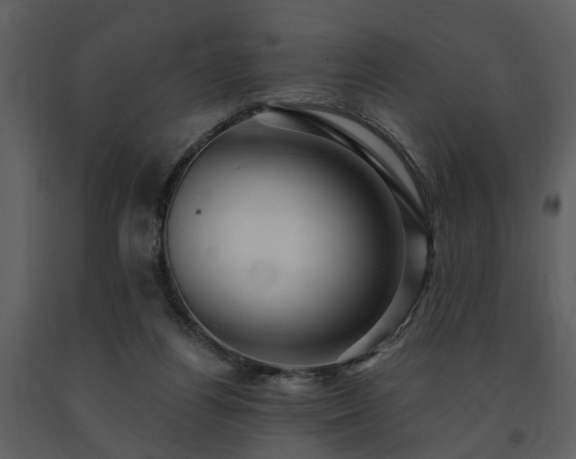 X0000091700164200708241231