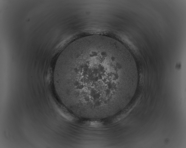 X0000091700165200708241231