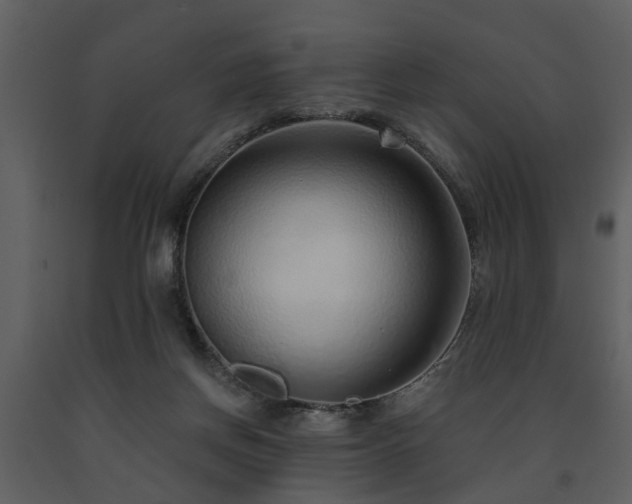 X0000091700166200708241231