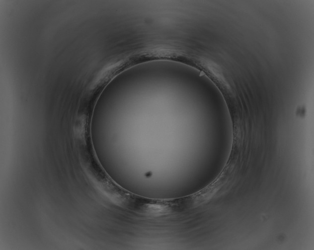 X0000091700167200708241231