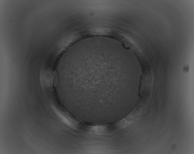 X0000091700168200708241231