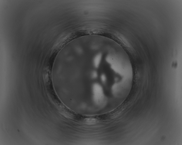 X0000091700169200708241231