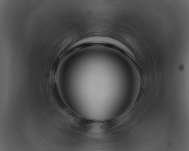 X0000091700172200708241231