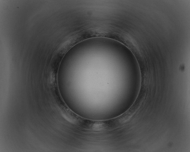 X0000091700173200708241231