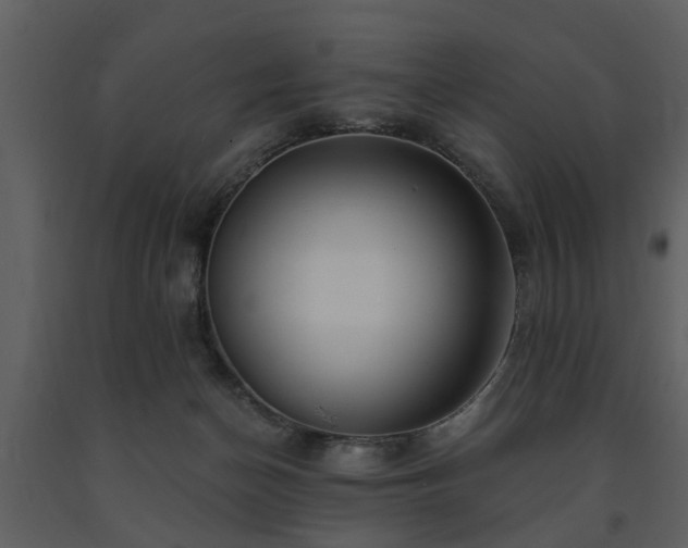 X0000091700174200708241231