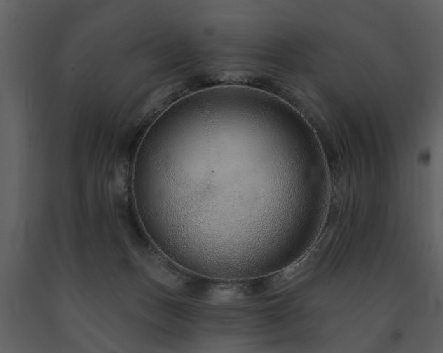 X0000091700175200708241231