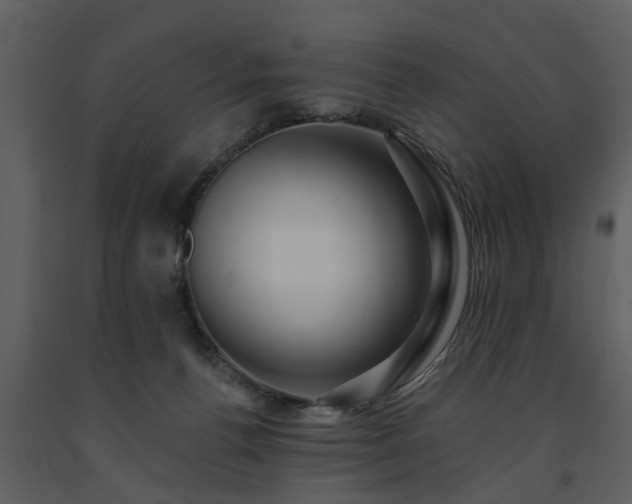 X0000091700176200708241231