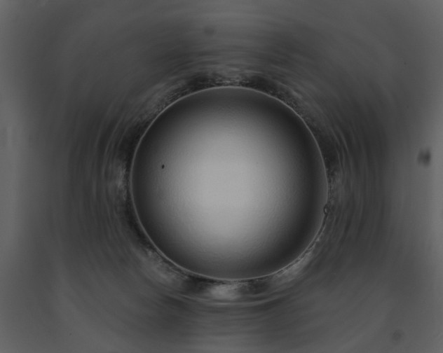 X0000091700178200708241231
