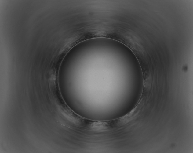X0000091700179200708241231