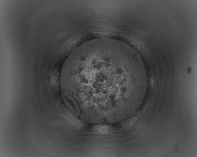 X0000091700181200708241231