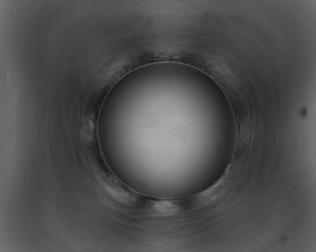 X0000091700183200708241231