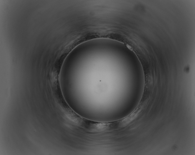 X0000091700184200708241231