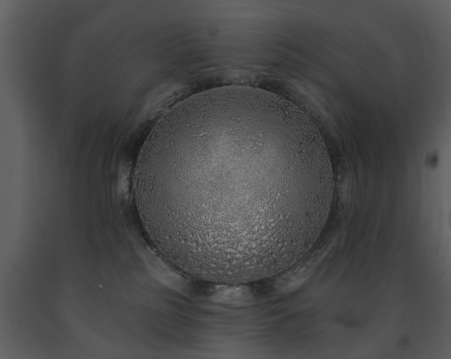X0000091700185200708241231