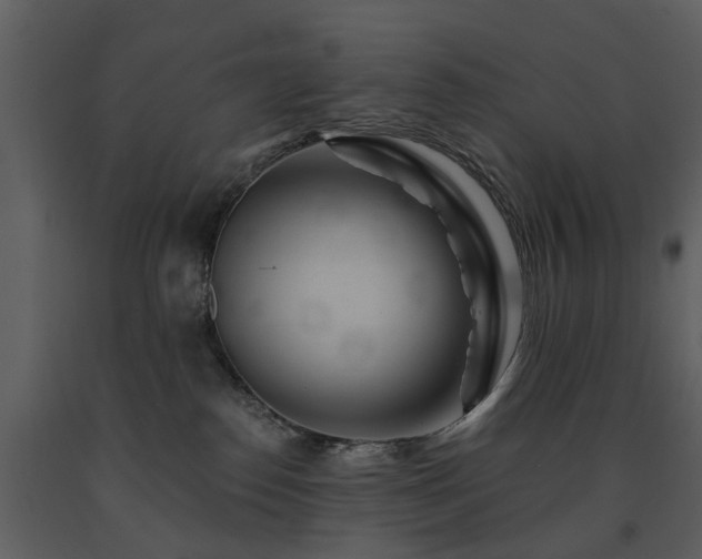 X0000091700186200708241231