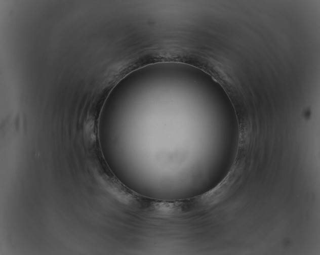 X0000091700187200708241231