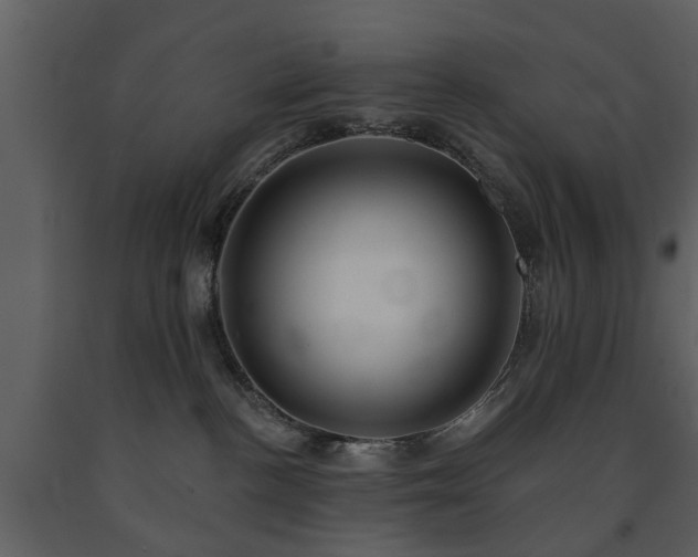 X0000091700188200708241231