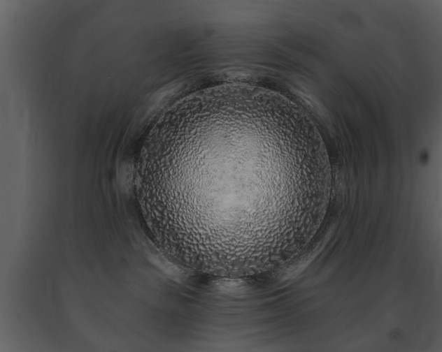 X0000091700189200708241231